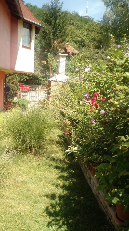 Apartman House Annesa ซาราเยโว ภายนอก รูปภาพ